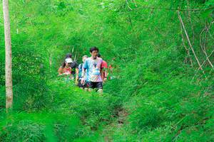 BIB: 
                            <button type="button" onclick="openModal(22092871)" class="btn btn-primary btn-sm float-right btn-popup" data-toggle="modal" data-target=".modal-high-quality">
                        <i class="fas fa-shopping-cart"></i> Add to Cart
                    </button>
                                            <button type="button" onclick="isThisMe(22092871, true)" class="btn btn-success btn-sm float-right btn-popup btn-isme hidden" data-toggle="tooltip" data-placement="bottom" title="นี่คือรูปของคุณใช่ไหม คลิกที่นี่เพื่อเอาเข้าอัลบั้ม">
                        <i class="fas fa-plus"></i> Add to album
                    </button>
                    <button type="button" onclick="isThisMe(22092871, false)" class="btn btn-warning btn-sm float-right btn-popup btn-isnotme hidden">
                        <i class="fas fa-ban"></i> Remove from album
                    </button>